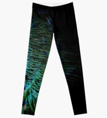 Pfauenfeder Leggings