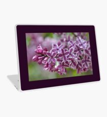Two-Tone Lilacs Laptop Skin