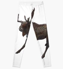 Deeper Shades Leggings