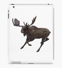 Deeper Shades iPad Case/Skin