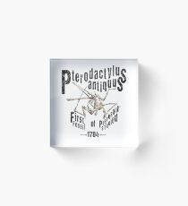 Pterodactylus antiquus Acrylic Block