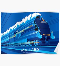 Mallard Poster