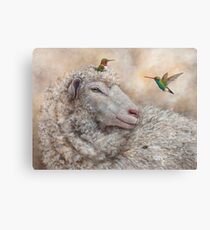 Baa, Hum, Bug Canvas Print