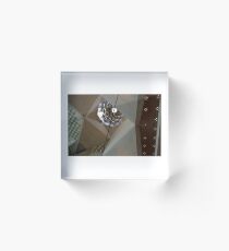 Unnatural Beauty Acrylic Block