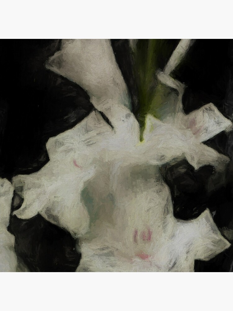 Gladiolus Star of Bethlehem Reworked No. 69, Series 1 by 8th-and-f