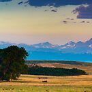 Colorado Front Range At Sunrise by John  De Bord Photography