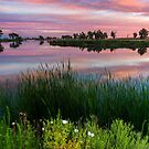 Colors Of A July Sunrise by John  De Bord Photography
