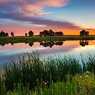 Summer Skies Of July by John  De Bord Photography