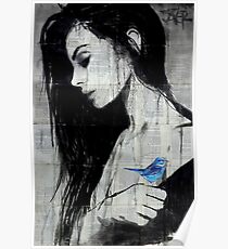 birdlife Poster