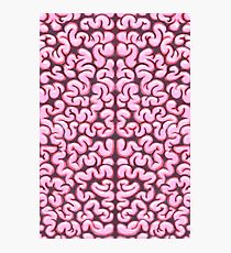 Brains Photographic Print