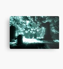 Cemetery Metal Print