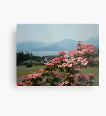 THE DOGWOOD IN BLOOM Metal Print