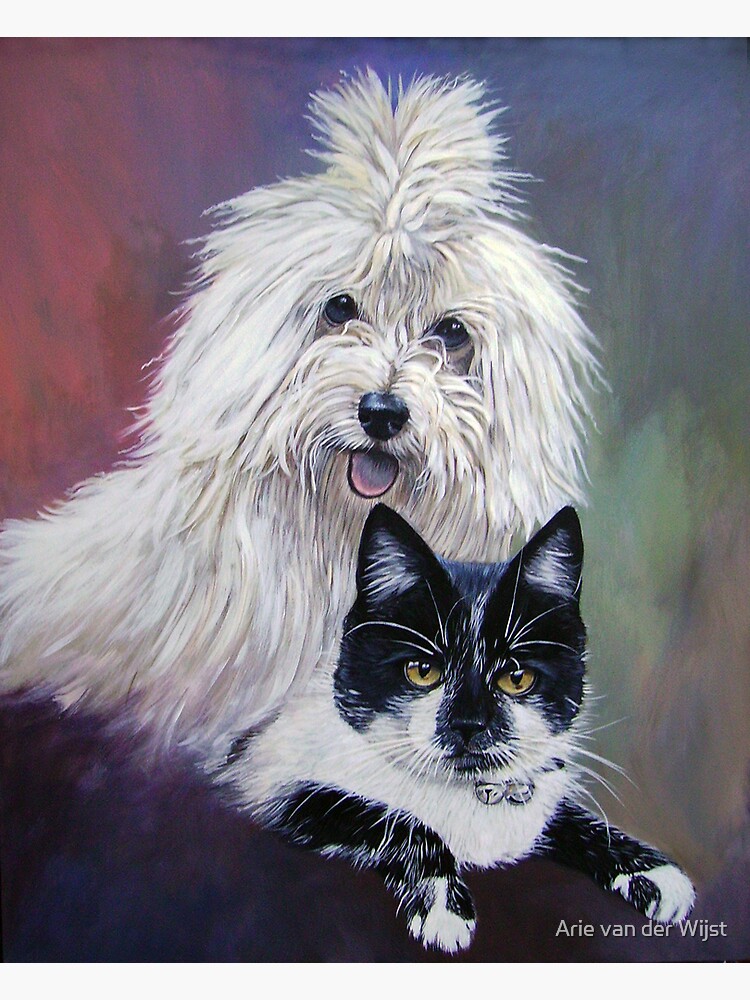 Shine and Puss by Aart
