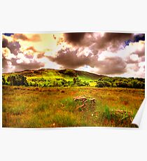 The hills of Donegal Poster