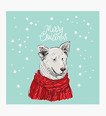 Merry Christmas New Year's card design White dog in a Christmas red knitted sweater. Shepherd. Sketch drawing. Black contour and white stars on blue background Photographic Print