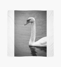 Swan at the lake Scarf