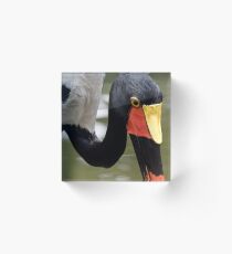 Red and Yellow head Acrylic Block
