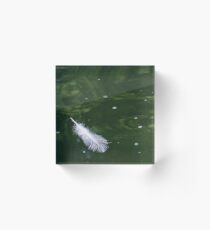 Feather Acrylic Block