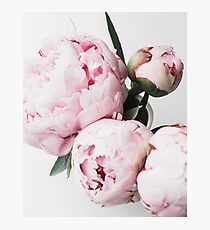 Flowers print, Scandinavian, Peony, Fashion print, Scandinavian art, Modern art, Wall art, Print, Minimalistic, Modern Photographic Print