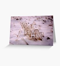 Frozen Grass Greeting Card