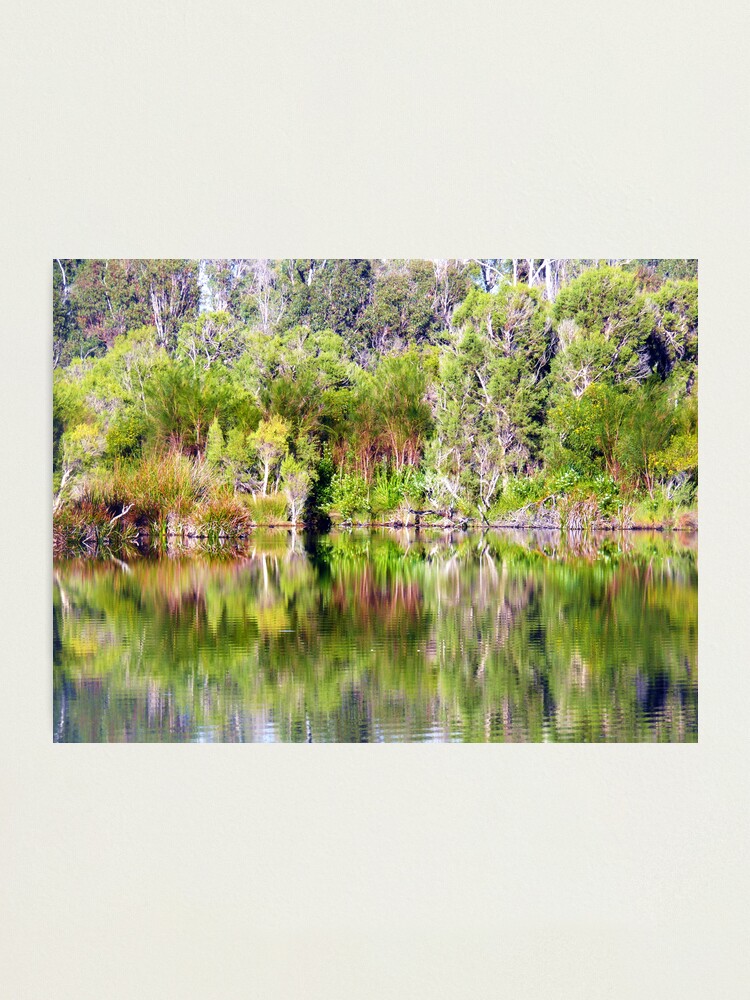 Alternate view of Untitled Photographic Print