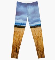 Wheat Field Leggings