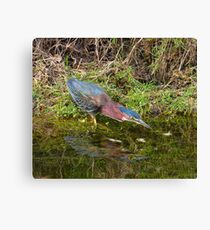 Mirror Mirror Canvas Print