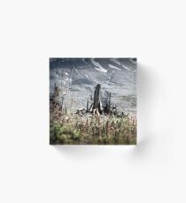 Shards of a tree, Johnston's Ridge Acrylic Block