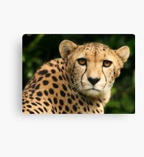 African Queen Canvas Print African Queen Canvas Print
