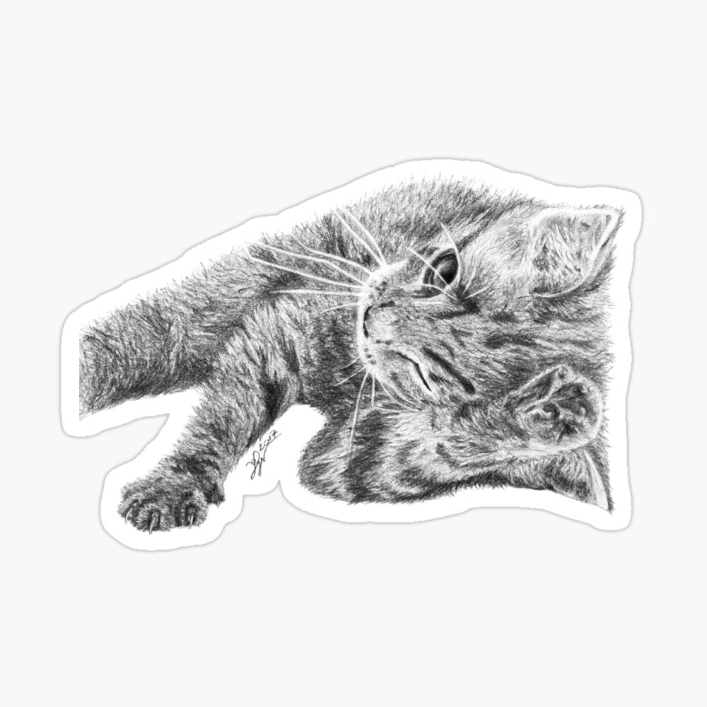 Little kitty in pencil Sticker