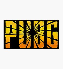PUBG Photographic Print
