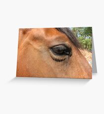 Soul searchin Greeting Card