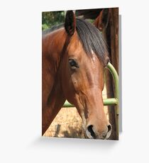 Undivided attention Greeting Card