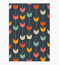 Tulips Photographic Print