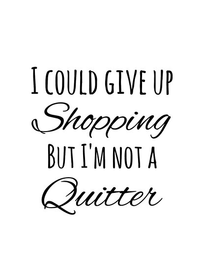 shopaholic i could give