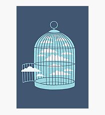 Free as a Bird Photographic Print
