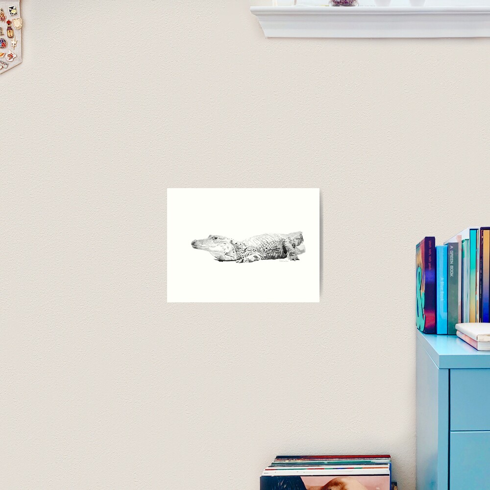 Alligator No.1 Art Print