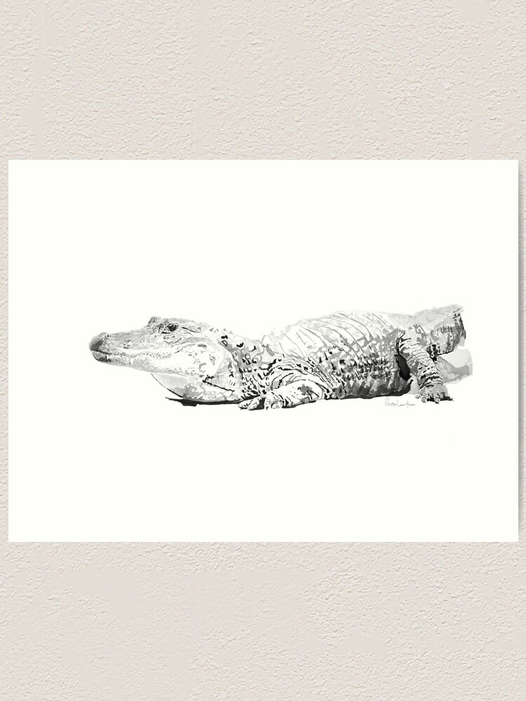 Alternate view of Alligator No.1 Art Print