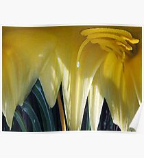 Yellow Flower Poster