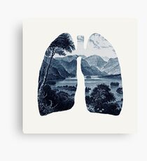 Fresh Canvas Print