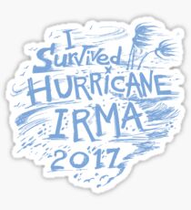 I survived Hurricane Irma 2017 Sticker