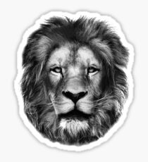 Lion Drawing Sticker