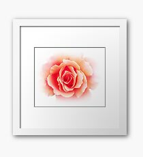 Rosenmontag Gerahmtes Wandbild