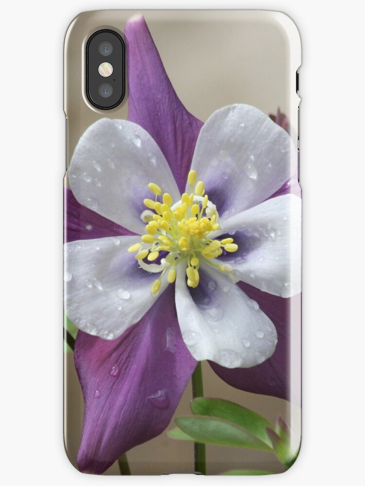 coque iphone 6 columbine coque iphone 6 columbine