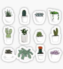 Succulents 2 Sticker