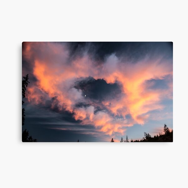 Dramatic Canvas Print