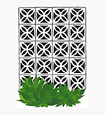 Mid Century Modern Breeze Blocks and Plants Photographic Print