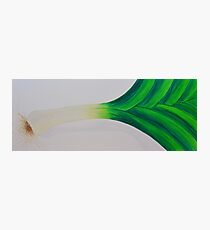 Leek Photographic Print