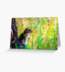 Hiding Out Greeting Card