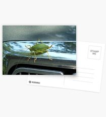 Hitch Hiker Postcards